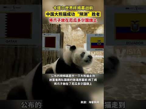 长津湖之水,门桥,票房突破,世界杯买球官网,世界杯买球下载安装,世界杯竞彩,世界杯投注平台,买球入口,体育赛事下注,下载App,实时赔率,安全交易